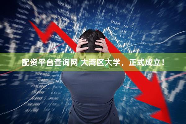 配资平台查询网 大湾区大学,正式成立!
