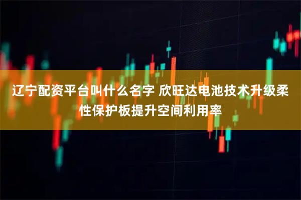辽宁配资平台叫什么名字 欣旺达电池技术升级柔性保护板提升空间利用率